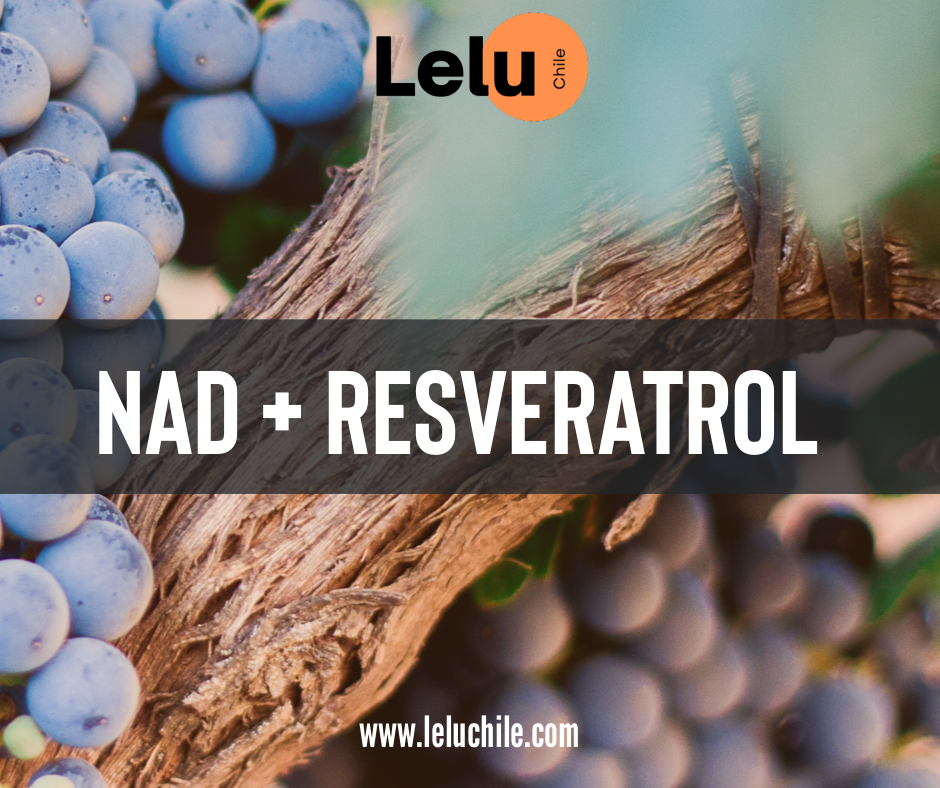 Av - NAD+ Resveratrol 500MG 60 Caps