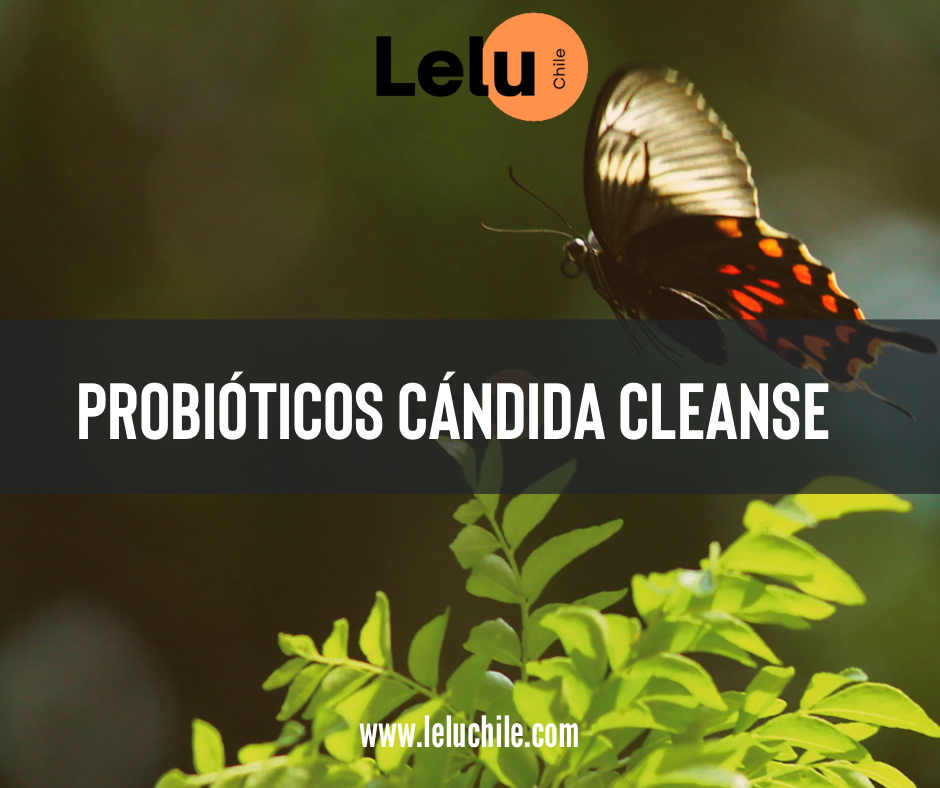 Av - Cándida Cleanse 60 Caps 1000MG