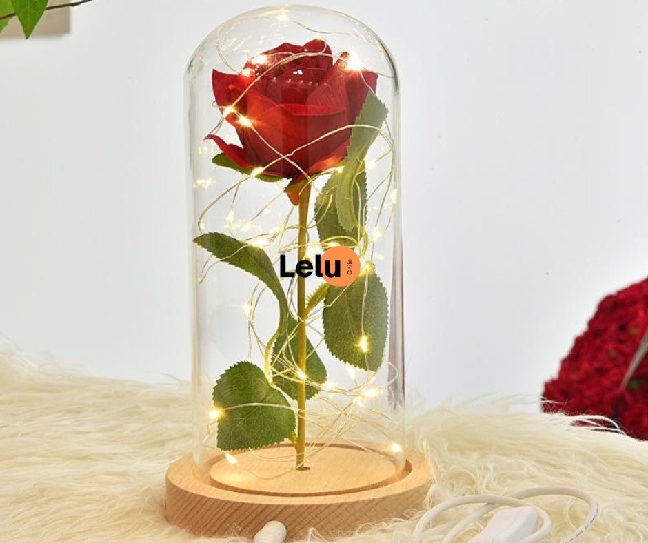 Roseled™ - Luces Led Cálidas con Cúpula