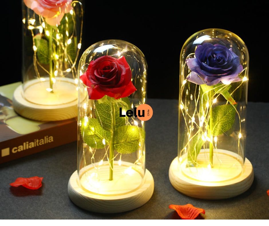 Roseled™ - Luces Led Cálidas con Cúpula