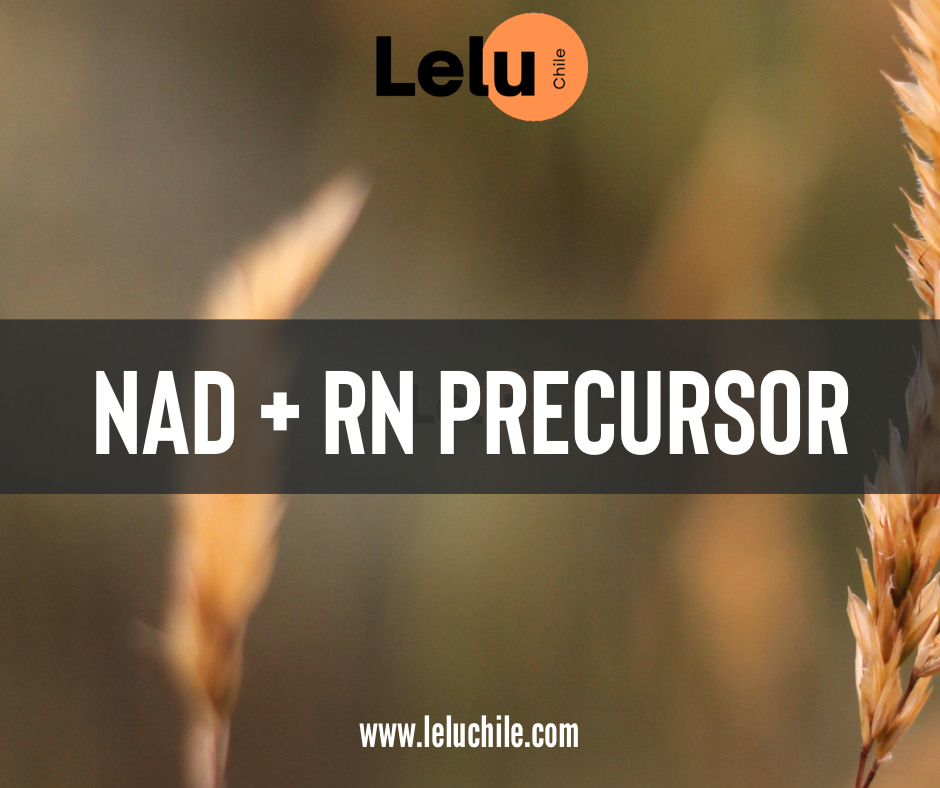 NAD +RN Precursor 500mg 60caps